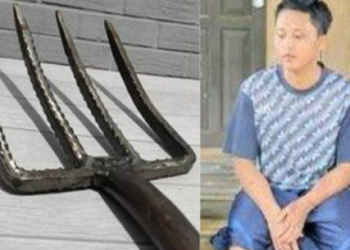Anak di Sukabumi Bunuh Ibu Kandung dengan Garpu Sawah