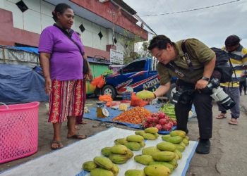 BPS: Ekonomi Papua Triwulan I 2024 Tumbuh 17,49%