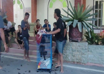 Banjir di OKU: Rumah Dinas Bupati OKU Jadi Tempat Pengungsian Hewan Peliharaan