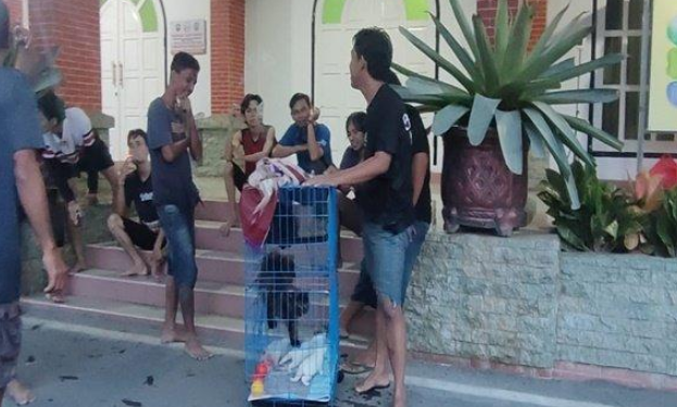 Banjir di OKU: Rumah Dinas Bupati OKU Jadi Tempat Pengungsian Hewan Peliharaan