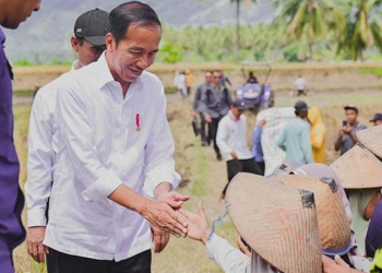 Lubuklinggau Siap Sambut Kedatangan Presiden Jokowi, Berikut Jadwal Lengkap Kunjungannya