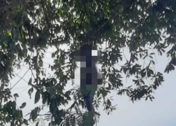 Diduga Merasa Tak Dianggap Sebagai Orang Tua, Pria Paruh Baya Gantung Diri di Pohon