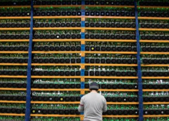 Si Kembar Winklevoss Kecam Presiden AS, Kripto Kebakaran