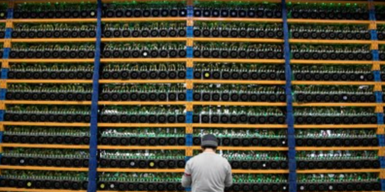 Si Kembar Winklevoss Kecam Presiden AS, Kripto Kebakaran