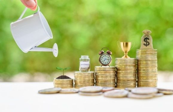 Investasi untuk Umur 15 Tahun