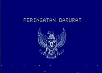 Peringatan Darurat Garuda Biru, Demokrasi Indonesia Terancam