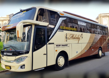 Bus Melody Transport