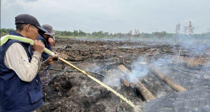 Karhutla Memakan Korban Jiwa, Siti Maimunah Tewas Terbakar Saat Berada di Kebun Karet di OKU
