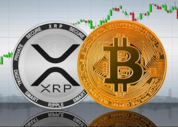 "Semua Orang Harus Punya Bitcoin, Tapi..."