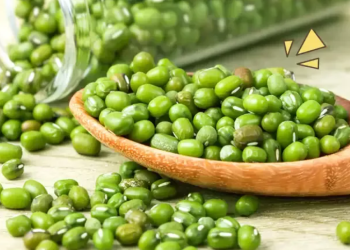 Manfaat Kacang Ijo untuk Kesehatan