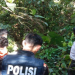 Mayat Pria Ditemukan Membusuk Dalam Kebun Karet di PALI, di Tubuhnya Ada Bekas Luka