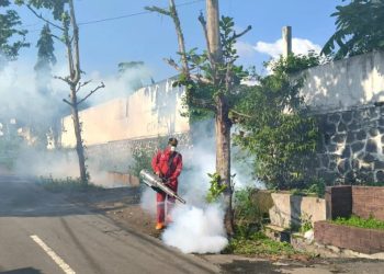 Pemkot Surakarta Perketat Pemberantasan Sarang Nyamuk untuk Cegah Lonjakan Kasus DBD
