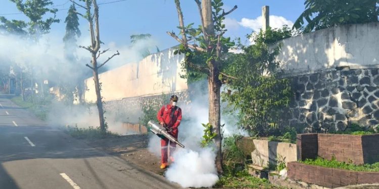 Pemkot Surakarta Perketat Pemberantasan Sarang Nyamuk untuk Cegah Lonjakan Kasus DBD