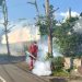 Pemkot Surakarta Perketat Pemberantasan Sarang Nyamuk untuk Cegah Lonjakan Kasus DBD