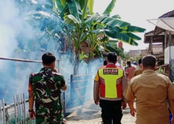 Dinkes OKU imbau warga waspada DBD di musim penghujan