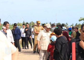 Presiden Prabowo Tinjau Program Ketahanan Pangan di Papua Selatan
