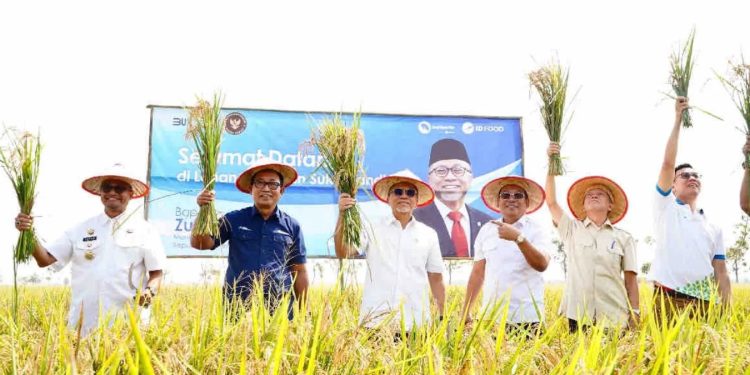 Bapanas Dorong Penggunaan Bibit Padi Unggul untuk Capai Swasembada Pangan