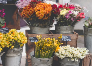 Kemudahan Memesan Bunga Segar dengan Toko Bunga Online Jakarta