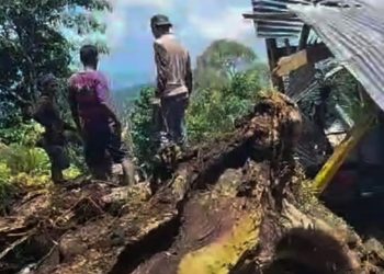Sembilan Pengunjung Tewas Tertimpa Pohon Tumbang di Bulu Matanre