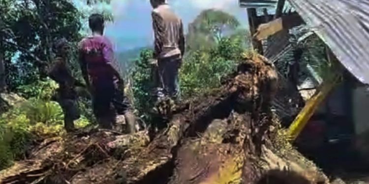 Sembilan Pengunjung Tewas Tertimpa Pohon Tumbang di Bulu Matanre