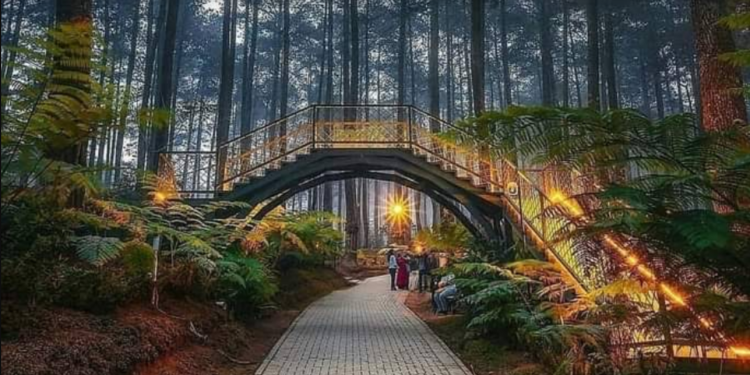 Wisata Sukabumi Instagramable yang Cocok untuk Akhir Pekan