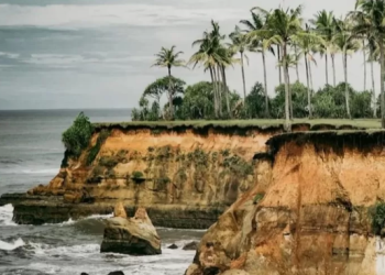 Pantai Nangai Bengulu