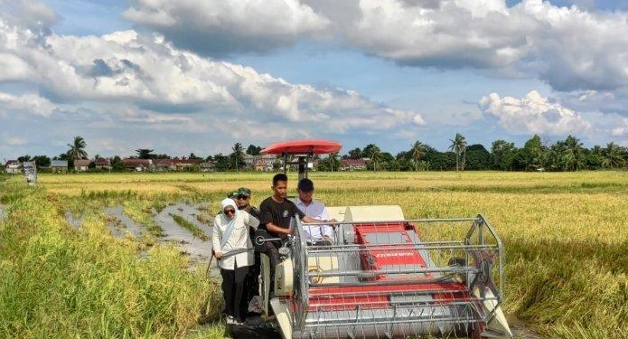Bulog Terapkan Harga Baru, Siap Serap Gabah Petani Seharga Rp 6.500 Perkilo