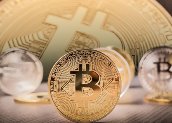 Rekomendasi Crypto Jangka Panjang