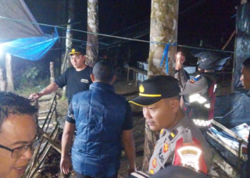 Polisi Grebek Arena Sabung Ayam di Lubuk Linggau, Diduga Milik Mantan Anggota DPRD