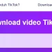 Cara Download Video TikTok dan Twitter Tanpa Aplikasi