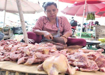 Harga Daging Ayam Potong di Palembang Turun Jadi Rp 25 Ribu per Kg, Penyebabnya karena Telat Panen