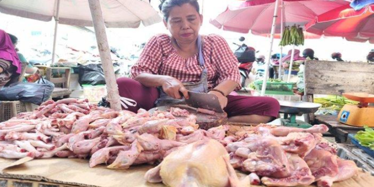 Harga Daging Ayam Potong di Palembang Turun Jadi Rp 25 Ribu per Kg, Penyebabnya karena Telat Panen