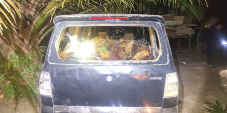 Maling Sawit Ditembak Brimob, Massa Nyaris Serbu Mess PT Agro Muara Rupit di Muratara