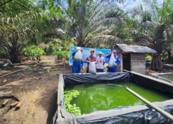 Dukung Ketahanan Pangan, Ditpolairud Polda Sumsel Salurkan 20 Ribu Bibit Lele untuk Warga Muara Padang