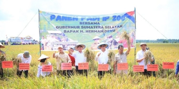 Panen Raya Padi IP 200, Sumatera Selatan Mantapkan Langkah Menuju Lumbung Beras Nasional