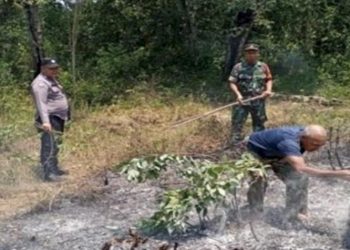 Titik Api Muncul di Empat Lawang, Tim Gabungan Bergerak Cepat Cegah Karhutla Meluas