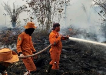 Guyuran Hujan Redam Titik Panas di Sumsel, Ancaman Masih Mengintai hingga Oktober