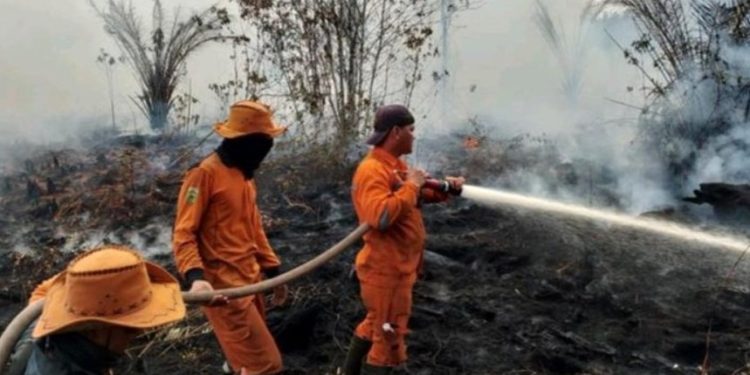 Guyuran Hujan Redam Titik Panas di Sumsel, Ancaman Masih Mengintai hingga Oktober