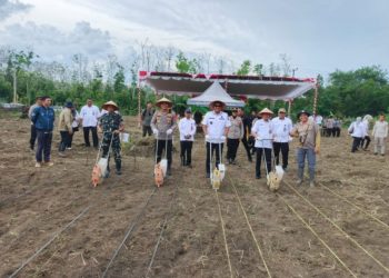 Polres Prabumulih Gerakkan Penanaman Jagung untuk Maksimalkan Lahan Tidur dan Perkuat Ketahanan Pangan