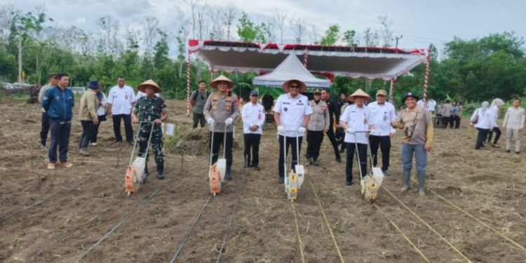 Polres Prabumulih Gerakkan Penanaman Jagung untuk Maksimalkan Lahan Tidur dan Perkuat Ketahanan Pangan