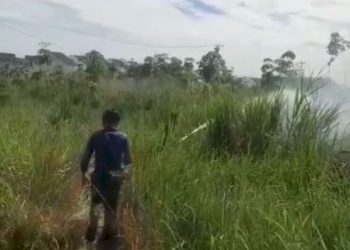 Karhutla Kembali Landa Lubuklinggau, 2,5 Hektare Lahan Hangus Terbakar dalam Dua Pekan