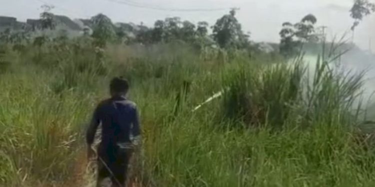 Karhutla Kembali Landa Lubuklinggau, 2,5 Hektare Lahan Hangus Terbakar dalam Dua Pekan