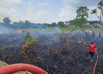 Karhutbunlah Terjadi di Belakang Komplek Kejaksaan Sekayu, Tim Damkar Muba Sigap Padamkan Api