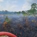 Karhutbunlah Terjadi di Belakang Komplek Kejaksaan Sekayu, Tim Damkar Muba Sigap Padamkan Api
