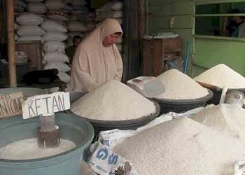 DKPP Sumsel Pastikan Beras yang Beredar Aman, Warga Diminta Tak Terpengaruh Isu Oplosan