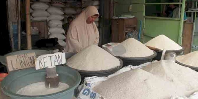 DKPP Sumsel Pastikan Beras yang Beredar Aman, Warga Diminta Tak Terpengaruh Isu Oplosan