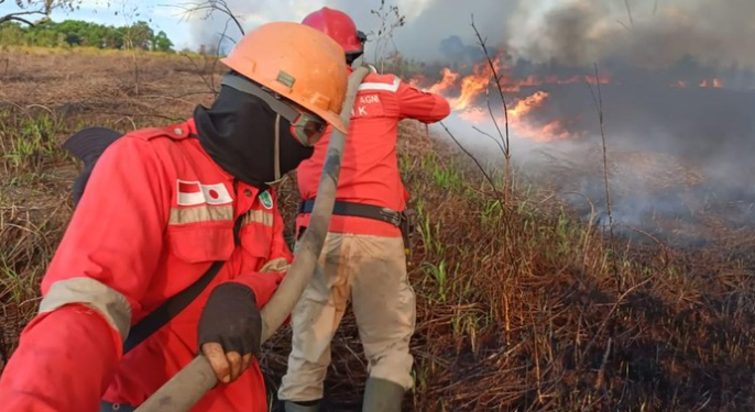 20 Hektare Lahan Sawit Siap Panen di Empat Lawang Ludes Terbakar