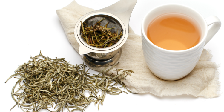 Menyibak Keajaiban White Tea: Si Daun Mewah yang Kaya Manfaat untuk Kesehatan