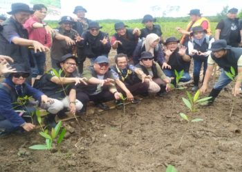 Mangrove Sungsang Jadi Benteng Ekologis dan Sumber Ekonomi Baru Warga Pesisir