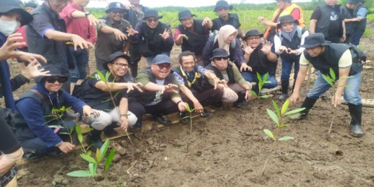 Mangrove Sungsang Jadi Benteng Ekologis dan Sumber Ekonomi Baru Warga Pesisir
